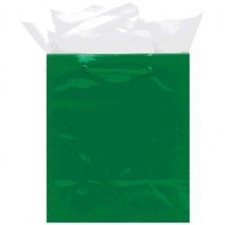 Green Medium Solid Glossy Paper Bags | Party Supplies