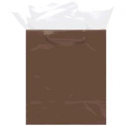 Chocolate Brown Medium Solid Glossy Bags | Party Supplies