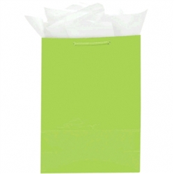 Kiwi Medium Solid Glossy Bags | Party Supplies