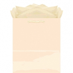 Vanilla Medium Solid Glossy Bags | Party Supplies