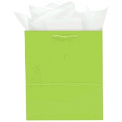 Kiwi Jumbo Solid Glossy Bags | Party Supplies