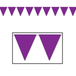 Purple Indoor/Outdoor Pennant Banner