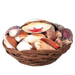 Basket of Seashells