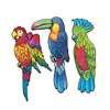 Exotic Bird Cutouts