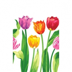 Bright Tulips Plastic Table Cover | Party Supplies