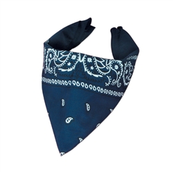 Blue Bandana