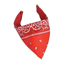 Red Bandana