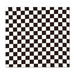 Checkered Bandana