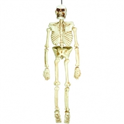Life Size Skeleton | Party Supplies