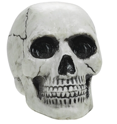 Value Skull