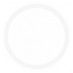 Frosty White 10-1/2" Paper Plates | Party Supplies