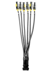 Elite Core SOCAPEX 19 PIN to  5ft 6 Channel True1 Female connectors Breakout Cable SOCO-BO-T1-5