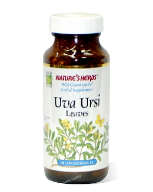 Uva Ursi (100)