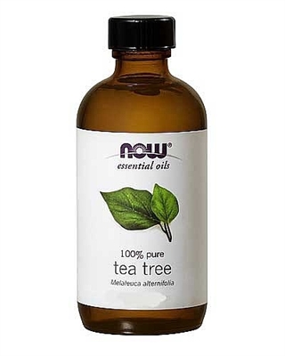 Tea Tree Oil NOW Foods (1oz)