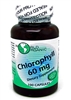 World Organics Chlorophyll 60 mg 100 Capsules