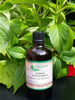 Organic Echinacea Purpurea Root Tincture 100ml - High Strength Herbal Extract
