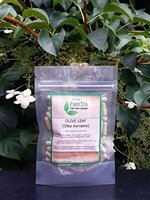 Olive Leaf (Olea europaea) - 100x Pure Herbal Capsules