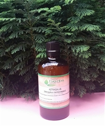 Astragalus Root (Astragalus membranaceus) - 100ml Tincture