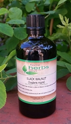 Organic Black Walnut Hull Tincture 100ml. High Strength Herbal Extract