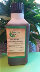 Echinacea (Echinacea purpurea) - 500ml Organic Tincture