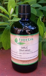 Garlic (Allium sativum) - 100ml Organic Tincture