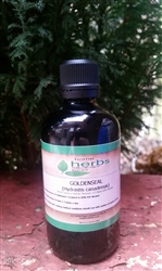 Goldenseal (Hydrastis canadensis) - 100ml Organic Tincture