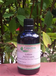 Guarana (Paullinia cupana) - 100ml Organic Tincture