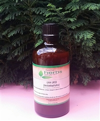 Uva Ursi (Arctostaphylos) Bearberry - 100ml Tincture