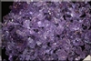 Hyacinth Purple Fire Crystal