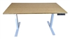 Uncaged Ergonomics (RUWB) Rise Up Electric Height Adjustable Sit/Stand Desk, with Real Bamboo Desktop, Memory, Dual Motors (Natural Bamboo Top/White Frame)