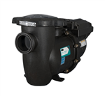 Starite Intellipro Variable Speed Pump 013075