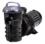 Pentair 340104 Dynamo Pool Pump