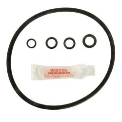 Hayward CL200 oring kit