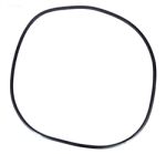 Pentair FNS Filter O-Ring 195008