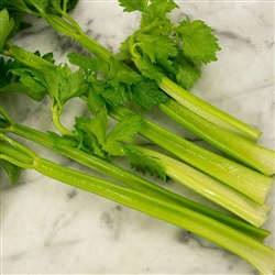 Celery Tender