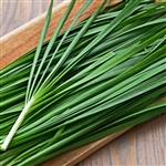 Chives Onion