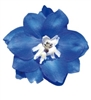 Delphinium P.G. Blue Bird