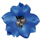 Delphinium Pacific Giants Blue Jay