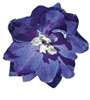 Delphinium Pacific Giants King Arthur