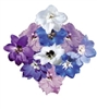 Delphinium Pacific Giants Round Table Mix