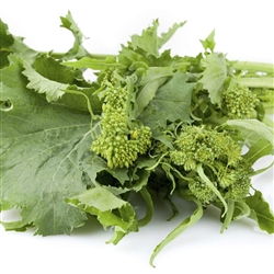 Broccoli Rapini - Spring