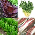 Lettuce Tuscan Blend