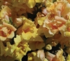 Antirrhinum Twinny Yellow Shds