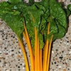 Silverbeet Oriole (Orange)-Dec