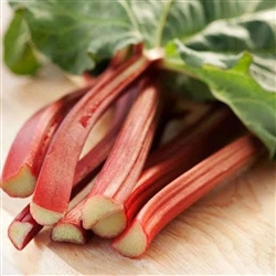 Rhubarb Victoria