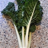 Silverbeet Fordhook Giant