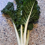 Silverbeet Fordhook Giant