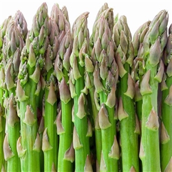 Asparagus UC 157 F2