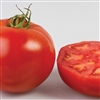 Tomato Carmelita F1_disc
