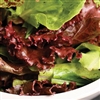 Lettuce Salad Blend (Combo) Pellets